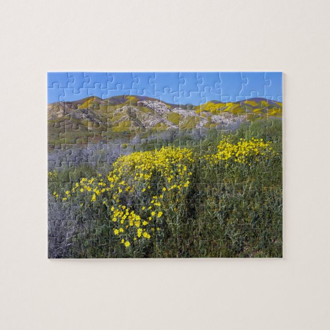 Carrizo Plain National Monument Pussel (Horisontell)