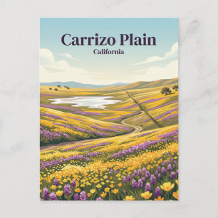 Carrizo Plain National Monument USA Vykort