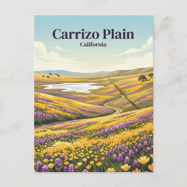 Carrizo Plain National Monument USA Vykort (Framsida)
