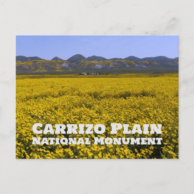 Carrizo Plain National Monument Vykort (Framsida)