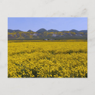 Carrizo Plain National Monument Vykort