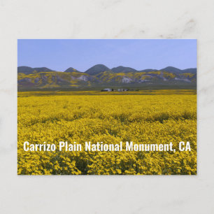 Carrizo Plain National Monument Vykort