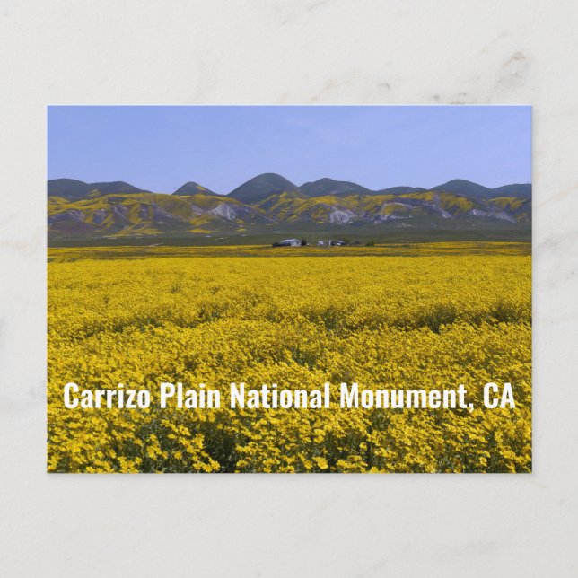 Carrizo Plain National Monument Vykort (Framsida)