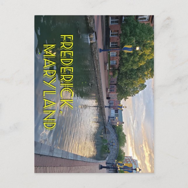 Carroll Bäck Frederick Maryland #2 Vykort (Framsida)