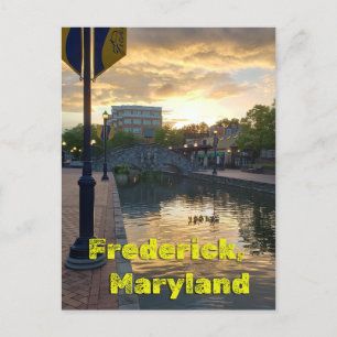 Carroll Bäck Frederick Maryland #3 Vykort
