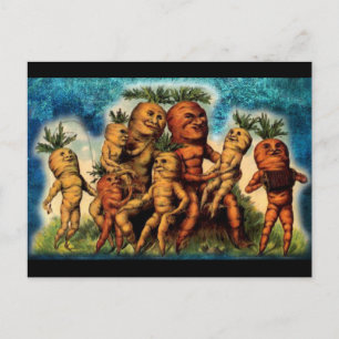 Carrot Family Weirness Vykort