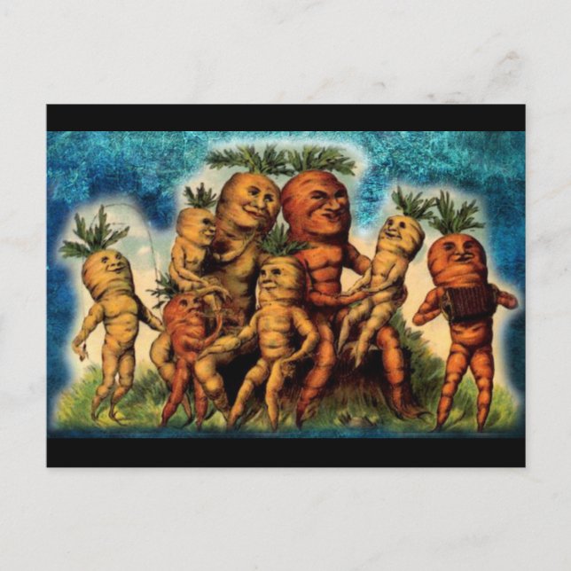 Carrot Family Weirness Vykort (Framsida)