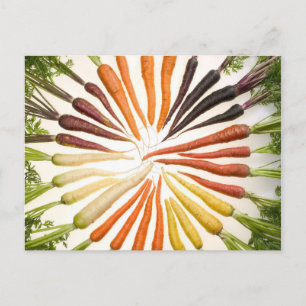 Carrot Färg Wheel Vykort
