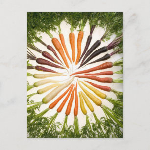 Carrot Färg Wheel Vykort