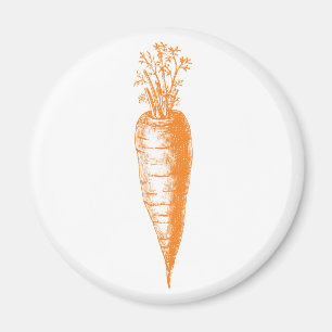 Carrot Magnet
