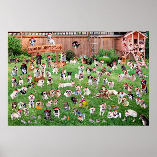 Carrot Top Bunny Daycare 2015 Poster (Framsidan)