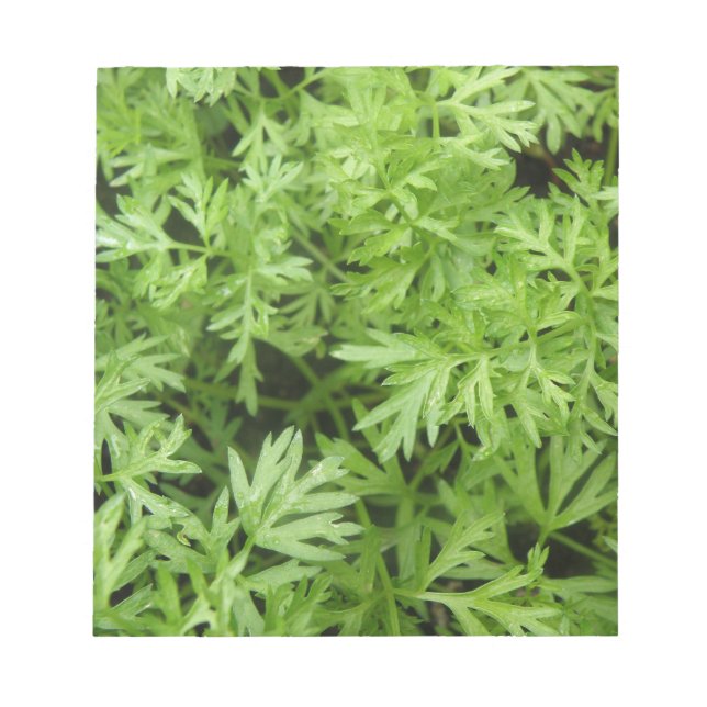 Carrot Toppar Anteckningsblock (Framsida)