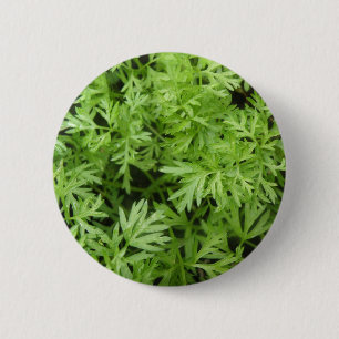 Carrot Toppar Button Knapp