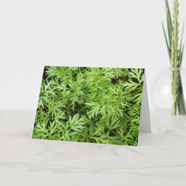 Carrot Toppar Greeting Card Kort (Framsida)