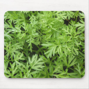 Carrot Toppar Mousepad Musmatta
