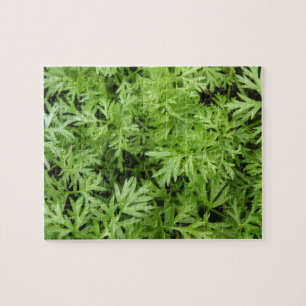 Carrot Toppar Puzzle Pussel