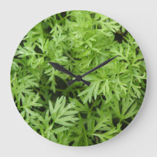 Carrot Toppar Wall Clock Stor Klocka