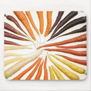 Carrot Vegetables Colorful Rainbow Mönster Garden Musmatta
