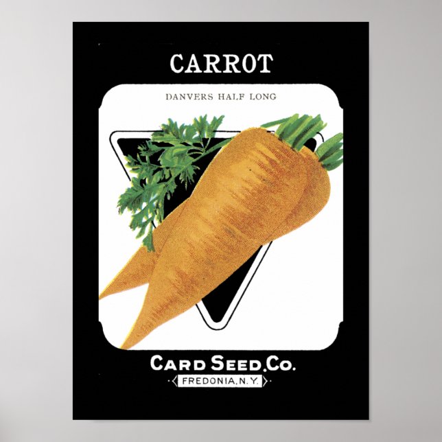 Carrot Vintage Seed Packet Poster (Framsidan)