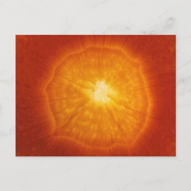 Carrot Vykort (Framsida)