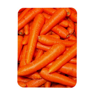 CARROTS MAGNET