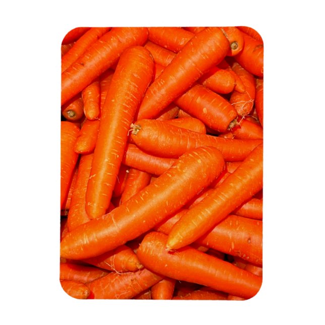 CARROTS MAGNET (Vertikal)