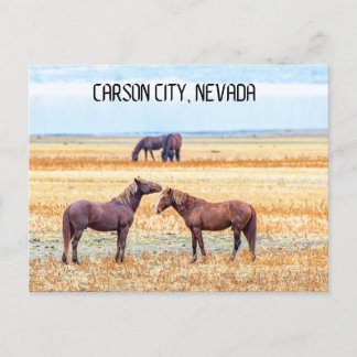 Carson City Nevada Souvenir Postcard Horses Vykort