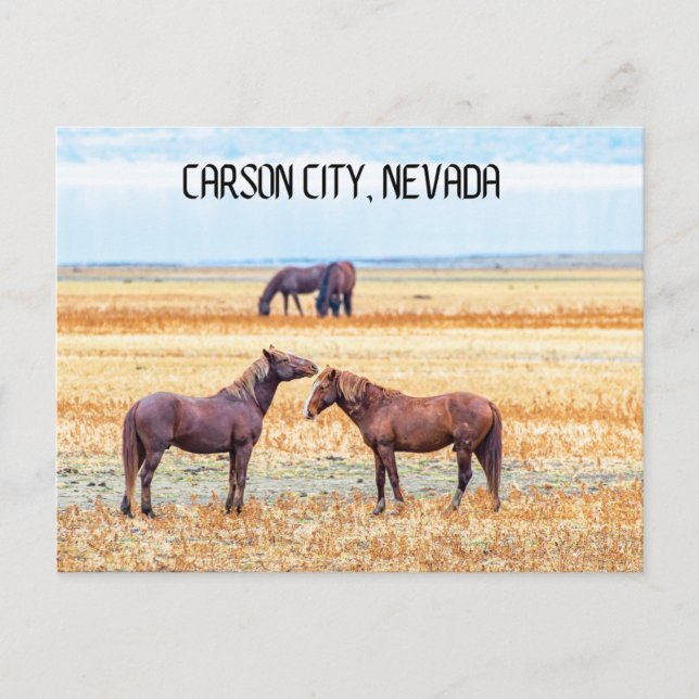 Carson City Nevada Souvenir Postcard Horses Vykort (Framsida)