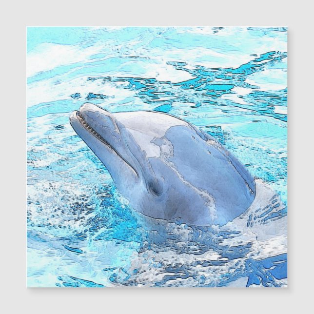 CArt-delfin (Framsida)