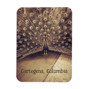 Cartagena, Colombia Magnet