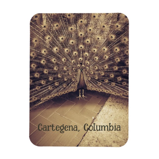 Cartagena, Colombia Magnet (Vertikal)