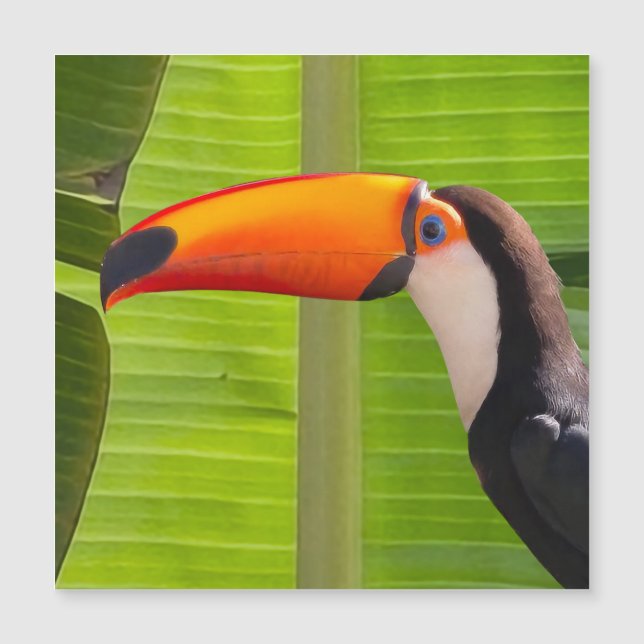 Cartão maagnético com design Tucano (Framsida)