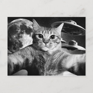 Cartão Postal Cat Space Vykort