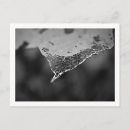 Cartão Postal - Folha teia (Nº1) Vykort