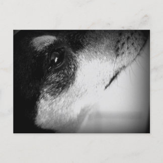 Cartão Postal: Thor Vykort