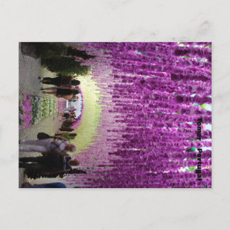 Cartão postal Tomar Vykort