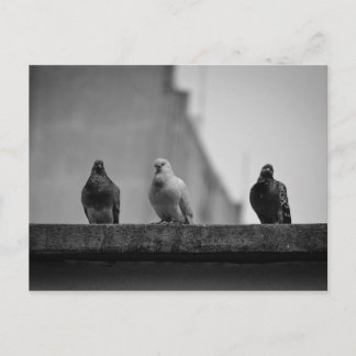 Cartão Postal - Três Pombos (Avenida Paulista)|Nº3 Vykort