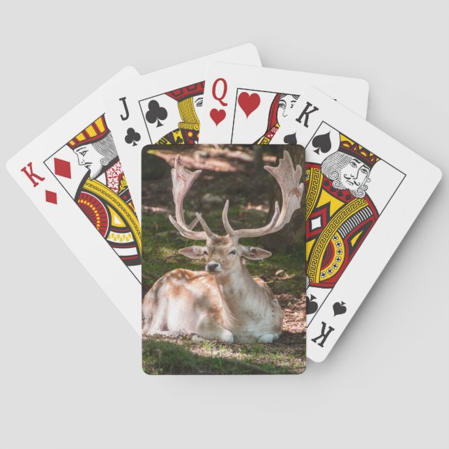Carte à jouer photo cerf sous les bois kortlek (Baksidan)