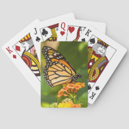 carte à jouer photo d'un papillon sur une fleur casinokort