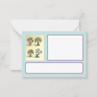 carte avec les oliviers taillés Provence. Anteckningskort