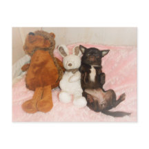 Carte chihuahua marron nounours peluches humor
