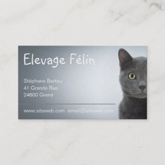 Carte de visite chat, élevage félin visitkort