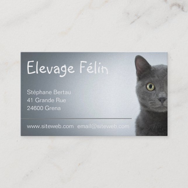 Carte de visite chat, élevage félin visitkort (Framsida)