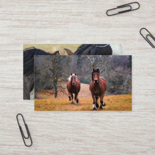 Carte De Visite Mini Affärskort Visitkort