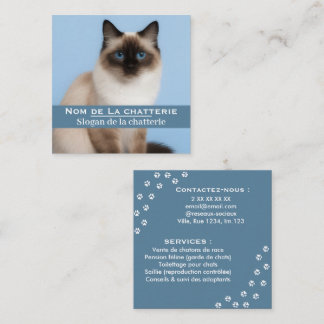 Carte de visite personnalisée chatterie élégante fyrkantigt visitkort