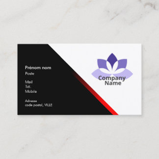 Carte de visite professionnelle visitkort