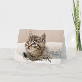 Carte de vœux Happy Valentine's Day chaton tigré Helgkort