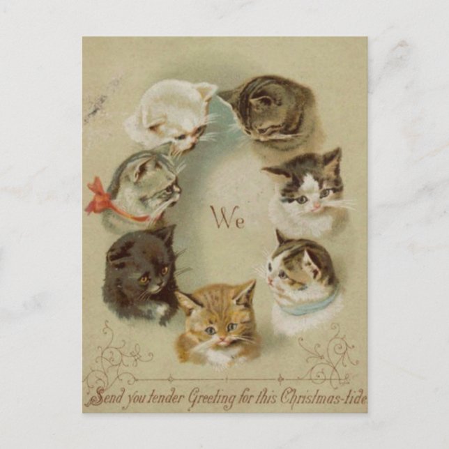 Carte de voeux Noël chats Vykort (Framsida)