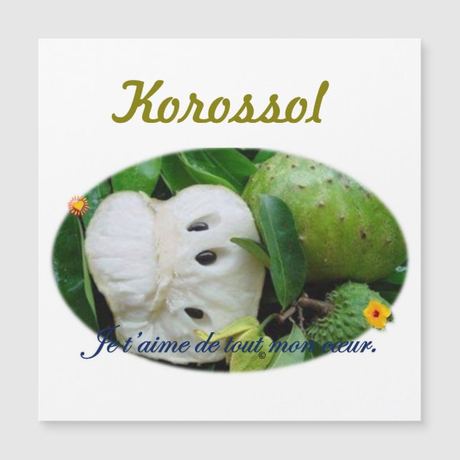 Carte magnétique (Framsida)