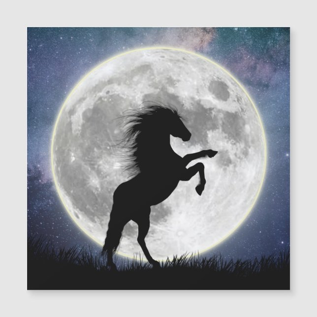 Carte magnétique Le cheval et la lune blanche (Framsida)